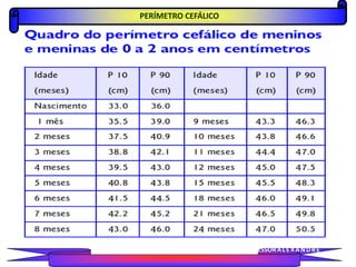 PERÍMETRO CEFÁLICO
PROFESSORALEXANDRE
 