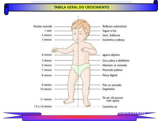 TABELA GERAL DO CRESCIMENTO
PROFESSORALEXANDRE
 