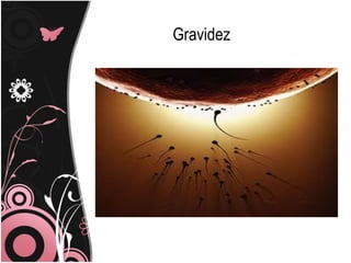 Gravidez
 