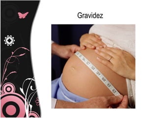 Gravidez
 
