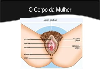O Corpo da Mulher
 