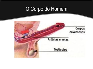 O Corpo do Homem
 