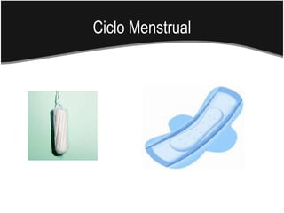 Ciclo Menstrual
 