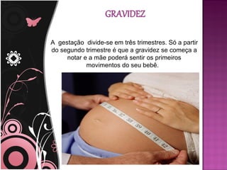 A gestação divide-se em três trimestres. Só a partir
do segundo trimestre é que a gravidez se começa a
     notar e a mãe poderá sentir os primeiros
            movimentos do seu bebê.
 