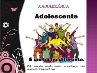 Pelo fato das transformações    e mudanças, eles
realmente ficam confusos.....
 