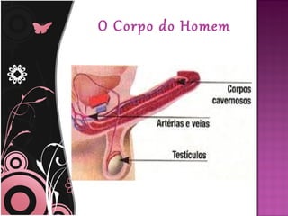 O Corpo do Homem
 