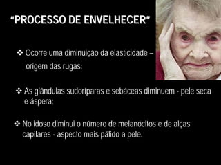 Ocorre uma diminuição da elasticidade –
origem das rugas;
Ocorre uma diminuição da elasticidade –
origem das rugas;
As glândulas sudoríparas e sebáceas diminuem - pele seca
e áspera;
As glândulas sudoríparas e sebáceas diminuem - pele seca
e áspera;
No idoso diminui o número de melanócitos e de alças
capilares - aspecto mais pálido a pele.
No idoso diminui o número de melanócitos e de alças
capilares - aspecto mais pálido a pele.
“PROCESSO DE ENVELHECER”““PROCESSO DE ENVELHECERPROCESSO DE ENVELHECER””
 