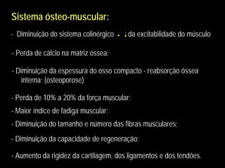 Sistema ósteo-muscular:Sistema ósteo-muscular:
- Diminuição do sistema colinérgico da excitabilidade do músculo
- Perda de cálcio na matriz óssea;
- Diminuição da espessura do osso compacto - reabsorção óssea
interna; (osteoporose)
- Perda de 10% a 20% da força muscular;
- Maior índice de fadiga muscular;
- Diminuição do tamanho e número das fibras musculares;
- Diminuição da capacidade de regeneração;
- Aumento da rigidez da cartilagem, dos ligamentos e dos tendões.
 