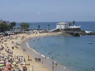 Como o profissional se relaciona com essacomunidade