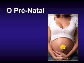 O Pré-Natal
 