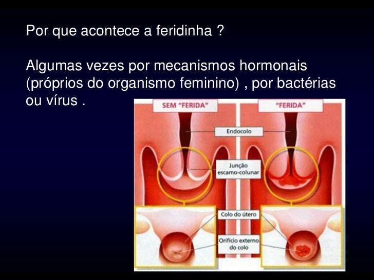 O Conjunto De Transformações Cíclicas Do Organismo Feminino