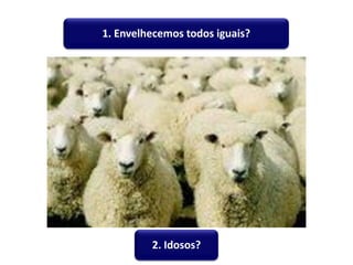 1. Envelhecemos todos iguais?
2. Idosos?
 