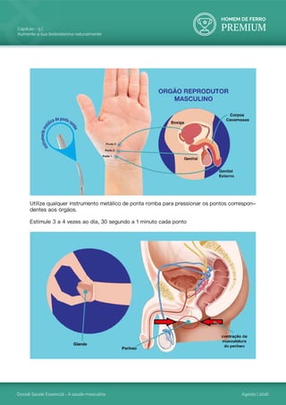 HOMEM DE FERRO
PREMIUM
Dossiê Saúde Essencial - A saúde masculina
Capítulo - 5 |
Aumente a sua testosterona naturalmente
Agosto | 2016
Utilize qualquer instrumento metálico de ponta romba para pressionar os pontos correspon-
dentes aos órgãos.
Estimule 3 a 4 vezes ao dia, 30 segundo a 1 minuto cada ponto
 