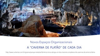 A “CAVERNA DE PLATÃO” DE CADA DIA
http://www.curtamais.com.br/goiania/parque-estadual-de-terra-ronca-abriga-um-dos-maiores-complexos-de-cavernas-da-america-latina
Novos Espaços Organizacionais
 