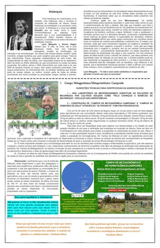 Holarquia
“Uma hierarquia em crescimento, é na
verdade, uma holarquia, pois o Universo é
composto de holarquias de hólons. Essas
holarquias se entrelaçam e se encaixam umas
nas outras”. A Holarquia é o nome que Arthur
Koestler deu ao modo como o nosso
Universo/Natureza se organiza. Cada
elemento tem a sua responsabilidade e é
insubstituível. Arthur Koestler chamou de
holarquia, a coexistência de seres menores em
totalidades maiores.
Lynn Margulis e Dorion Sagan
relatam que: “A vida, na Terra, não é uma
hierarquia criada, mas uma holarquia
emergente, surgida da combinação, da
interação e da recombinação”. No interior das nossas células, existem, neste
momento, antigas bactérias que usam oxigênio para gerar energia. Trata-se
das mitocôndrias. Essas organelas citoplasmáticas de certo modo, são
independentes do resto da célula, com capacidade própria de se replicarem,
além de terem os DNAs diferentes do que encontramos no núcleo da célula
eucarionte. Na prática, temos o DNA mitocondrial que nada mais é do que
DNA de bactéria inserido no nosso. Sem esses invasores primordiais, nem
sequer existiríamos. As mitocôndrias são, na verdade, bactérias que viraram
parte de nossas células, ou melhor, viraram parte de todas as células
eucarióticas dos reinos protistas ou protoctistas, fungos, plantas e animais.
Acredita-se que as mitocôndrias e os cloroplastos sejam descendentes do que
já foram um dia bactérias de vida livre. Ambas estão envoltas por duas
membranas. É importante saber que os cloroplastos estão presentes nas
células eucarióticas vegetais.
Continua Lynn em seu livro ‘Microcosmos’: “As tarefas
desempenhadas pelas bactérias equivalem a nada mais nada menos do que
o condicionamento de todo o planeta. São elas que impedem que toda a
matéria que já foi viva se transforme em pó. As bactérias nos transformam em
alimento e energia para outros, mantêm os ciclos dos elementos orgânicos e
inorgânicos da biosfera, purificam a água, fertilizam o solo e perpetuam a
anomalia química que é a atmosfera terrestre, produzindo constantemente
novas reservas de gases reativos. O especialista em atmosfera, britânico
James Lovelock afirma que certos gases produzidos por micróbios atuam
como um sistema de controle para estabilizar o ambiente vivo. O metano, por
exemplo, pode agir como mecanismo regulador do oxigênio e ventilador da
zona anaeróbica (sem oxigênio), enquanto a amônia – outro gás que reage
fortemente com o oxigênio e, portanto, tem de ser reposto continuamente
pelos micróbios – provavelmente desempenham um papel importante na
determinação da alcalinidade dos lagos e dos oceanos. Um dos achamos
gases de efeito estufa (como o dióxido de carbono), que deixa penetrar uma
quantidade maior de radiação do que deixa sair, a amônia também pode ter
sido importante na regulação do clima primitivo. [...] A lista é interminável. O
meio ambiente está tão interligado com as bactérias, cuja influência é tão
grande, que é literalmente impossível apontar o dedo e afirmar com certeza
onde começa o reino inorgânico caracterizado por ausência de vida. ”
Lynn Margulis – "A vida é uma união simbiótica e cooperativa que
permite o triunfo aos que se associam"
---------------------------------------------
7. Campo Metagenômico/Metaproteômico Camponês
SUGESTÕES TÉCNICAS PARA CIENTÍFICOS/AS DA AGROECOLOGIA
1 – NOS LABORTÓRIOS DE MICRORGANISMOS SUBSTITUIR AS SOLUÇÕES DE
MICORRIZAS POR CULTIVOS SÓLIDOS COMO “PELO CHORIÇOS E BONECAS DE
MICORRIZAS”, POIS ELES SÃO HIDROFÓBICAS;
2 – CONSTRUÇÃO DE “CAMPOS DE METAGENÔMICA CAMPESINA” E “CAMPOS DE
DISBIOSES DO SOLO” ATRAVÉS DO “GLYPHOSATE” COM FINS PEDAGÓGICOS;
Com um fio de nylon de 5,62 metros de largura, traçar um círculo sobre o solo em área elegida
pelos agricultores em sua comunidade. Aplicar nesta área (equivalente a 100 metros quadrados, que
multiplicado por 100 representa um Hectare): 30 kg de farinha de rocha (Basalto, Granito Rosa e outras);
30 kg de palha ou resto de cultura secos; 30 kg de composto (compostagem) ou Bocashi; 30 kg de resto
de cultura fresca ou adubos verdes (leguminosas ou qualquer biomassa verde); 30 kg de esterco de
bovino; 30 kg de munha de carvão.
Esta área deve ser fotografada antes para registrar sua fitossociologia e na metade de cada
estação climática do ano para a verificação das mudanças em evolução na mesma. Deve ser feito um
Cromatograma em cada estação para avaliar a progressão na restauração da saúde do solo. Repor a
cada ano 1/3 das quantidades durante 5 anos. Acadêmicos e estudantes poderão tomar amostras para
avaliar a população de microrganismos. No “Campo de Disbiose do solo” os ingredientes acima são
opcionais, mas a aplicação é obrigatória de 2 aplicações do Glyphosate na primavera e outono. Ambos os campos de estudos são acompanhados de fotografias
tiradas de um mesmo ponto para comparar a evolução da fitossociologia de apoio a evolução da serule (fitossociologia microbiana) no solo.
3 – É muito importante ressaltar que a microbiologia está além do uso de micróbios para controlar pragas e enfermidades na agricultura, pois não estamos
mudando o veneno químico pelo biológico, e sim, restaurando conhecimentos de harmonia e equilíbrio mais além da ideologia da destruição para restauração do
equilíbrio. No “Campo de Metagenômica” se verifica a evolução do solo campesino/a e a saúde do solo (a serule e a fitossociologia) e desfaz a ideologia de morte
na agronomia e desenvolve a visão da agroecologia mais além da sociologia dependente.
4 – Construir um atlas de cada Campo de Metagenômica Campesina e Disbiose com os Cromatogramas de Pfeiffer como padrão de controle de qualidade
da saúde do solo e garantia de qualidade dos alimentos na região para os consumidores.
Observação: Lembramos que o uso do herbicida
Glifosato neste experimento é para fins pedagógico e
reservado para acadêmicos, professores. Não vale apena
contaminar o solo dos agricultores ou comunidade por 9
anos com este produto de guerra. Portanto, o Campo de
Disbiose do Solo não precisa fazê-lo junto aos
agricultores, pois o uso do veneno é generalizado e é fácil
encontrar um fazendeiro veneneiro que o aplica, assim
sendo, ambas as partes combinada, se defina uma área
de 100 m2 da área maior de manejo convencional
aplicado pelo proprietário para fazer o acompanhamento
paralelo ao campo implantado na comunidade,
propriedade rural ou cooperativa.
Dica para equilibrar o Colesterol:
380 gramas de folhas de Nin (Azadirachta indica);
colocar em uma garrafa encapada com plástico
preto para ficar escura junto com álcool 70°C e
deixar curtir por uma semana. Tomar 9 gotas 2
vezes ao dia equilibra o Colesterol de quem o tem
alto...
 