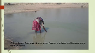 Chimpaka em Onangwé, Namacunde. Pessoas e animais partilham a mesma
fonte de água!
 