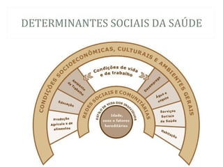 DETERMINANTES SOCIAIS DA SAÚ DE
 