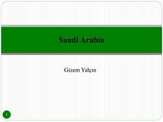 Gizem Yalçın
Saudi Arabia
1
 