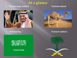 Saudi arabia physiographic features final