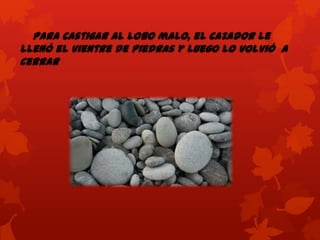 Para castigar al lobo malo, el cazador le
llenó el vientre de piedras y luego lo volvió a
cerrar

 