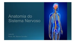 Anatomia do
Sistema Nervoso
Aula 06
Profa. Dd. Mariza Carvalho
 