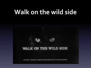 Walk on the wild side
 