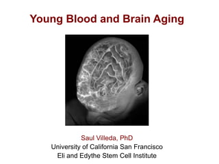 Young Blood and Brain Aging




             Saul Villeda, PhD
   University of California San Francisco
    Eli and Edythe Stem Cell Institute
 