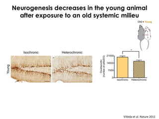 Systemic exposure to young blood enhances
     neural stem cell function in old mice
                                     ...