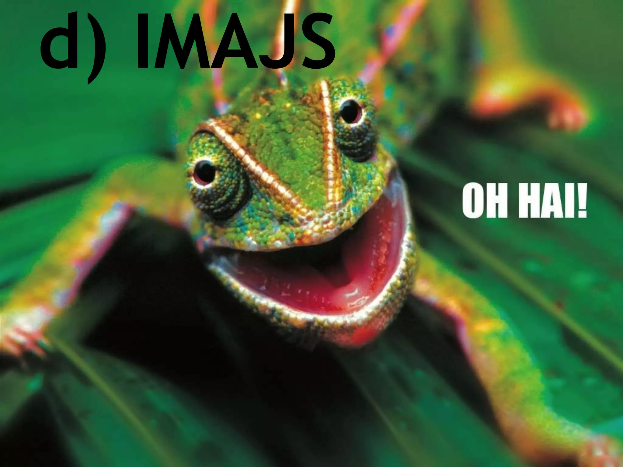 d) IMAJS




net-square
 