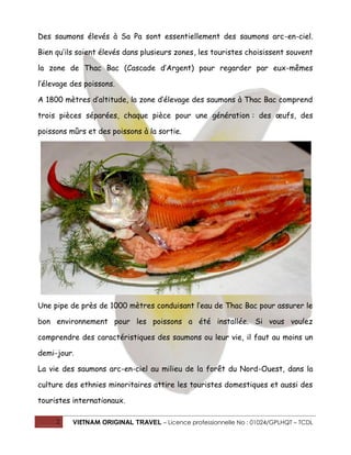 Des saumons élevés à Sa Pa sont essentiellement des saumons arc-en-ciel.
Bien qu’ils soient élevés dans plusieurs zones, les touristes choisissent souvent
la zone de Thac Bac (Cascade d’Argent) pour regarder par eux-mêmes
l’élevage des poissons.
A 1800 mètres d’altitude, la zone d’élevage des saumons à Thac Bac comprend
trois pièces séparées, chaque pièce pour une génération : des œufs, des
poissons mûrs et des poissons à la sortie.

Une pipe de près de 1000 mètres conduisant l’eau de Thac Bac pour assurer le
bon environnement pour les poissons a été installée. Si vous voulez
comprendre des caractéristiques des saumons ou leur vie, il faut au moins un
demi-jour.
La vie des saumons arc-en-ciel au milieu de la forêt du Nord-Ouest, dans la
culture des ethnies minoritaires attire les touristes domestiques et aussi des
touristes internationaux.
2

VIETNAM ORIGINAL TRAVEL – Licence professionnelle No : 01024/GPLHQT – TCDL

 