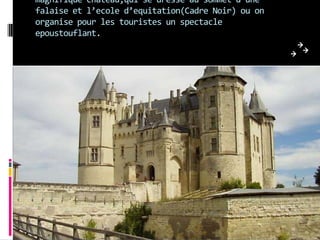 magnifique chateau,qui se dresse au sommet d’une
falaise et l’ecole d’equitation(Cadre Noir) ou on
organise pour les touristes un spectacle
epoustouflant.
 