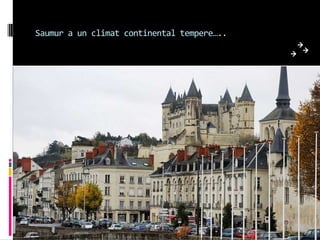Saumur a un climat continental tempere…..
 