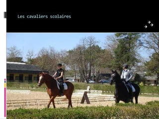 Les cavaliers scolaires
 