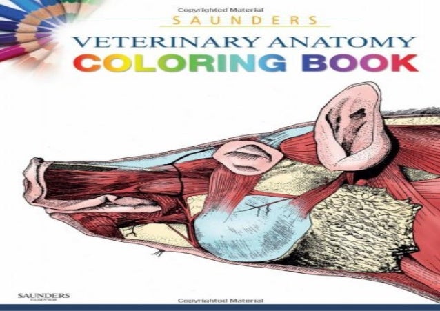 [DOWNLOAD] Saunders Veterinary Anatomy Coloring Book