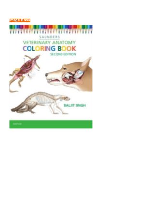 Saunders veterinary-anatomy-coloring-book