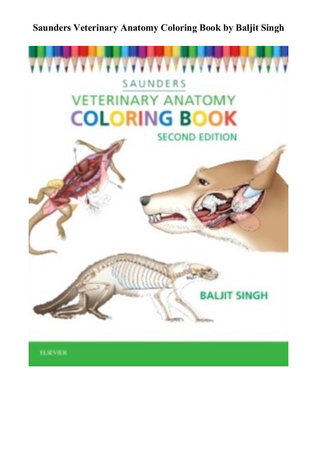 Saunders Veterinary Anatomy Coloring Book [PDF] LIMITED