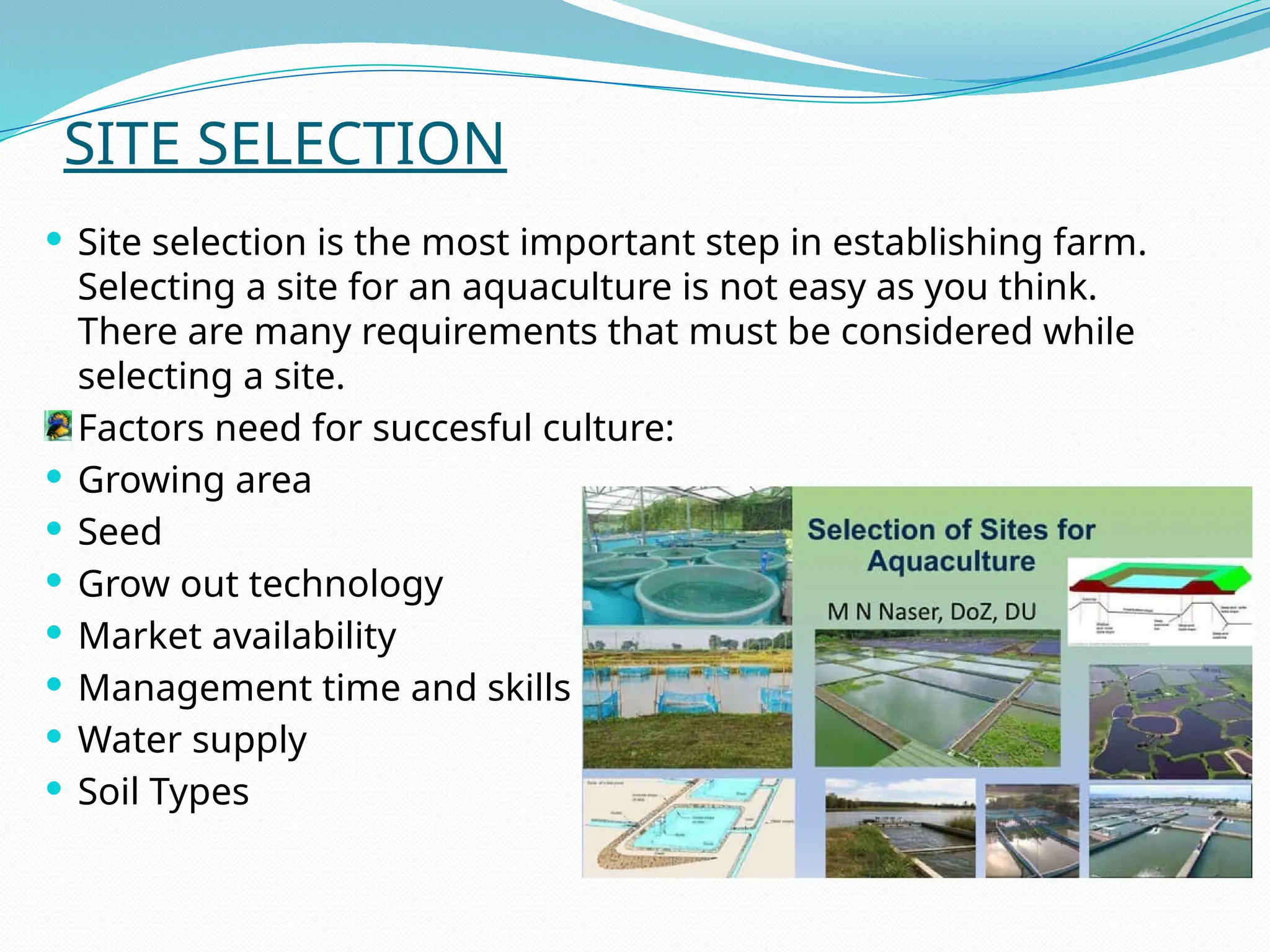 SITE SELECTION
 Site selection is the most important step in establishing farm.
Selecting a site for an aquaculture is not easy as you think.
There are many requirements that must be considered while
selecting a site.
Factors need for succesful culture:
 Growing area
 Seed
 Grow out technology
 Market availability
 Management time and skills
 Water supply
 Soil Types
 