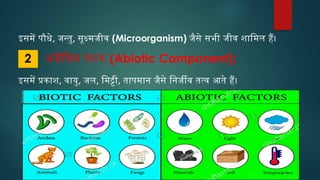 Saurabh chand (Ecosystem) (1).pptx hindi language | PPTX
