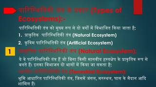 Saurabh chand (Ecosystem) (1).pptx hindi language | PPTX