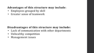 Advantages of this structure may include:
• Employees grouped by skill
• Greater sense of teamwork
Disadvantages of this structure may include:
• Lack of communication with other departments
• Unhealthy competition
• Management issues
 