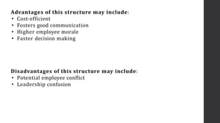 Advantages of this structure may include:
• Cost-efficient
• Fosters good communication
• Higher employee morale
• Faster decision making
Disadvantages of this structure may include:
• Potential employee conflict
• Leadership confusion
 