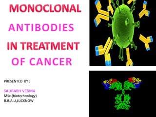 MONOCLONAL ANTIBODIES | PDF
