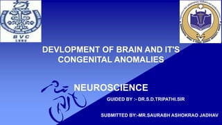 DEVLOPMENT OF BRAIN AND IT'S
CONGENITAL ANOMALIES
NEUROSCIENCE
GUIDED BY :- DR.S.D.TRIPATHI.SIR
SUBMITTED BY:-MR.SAURABH ASHOKRAO JADHAV
 
