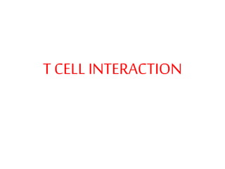 T CELL INTERACTION
 