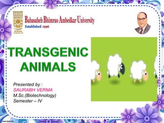 Presented by :
SAURABH VERMA
M.Sc.(Biotechnology)
Semester – IV
 