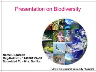 Presentation on Biodiversity
Name:- Saurabh
Reg/Roll No:- 11403811/A-08
Submitted To:- Mrs. Sonika
Lovely Professional University Phagwara
 