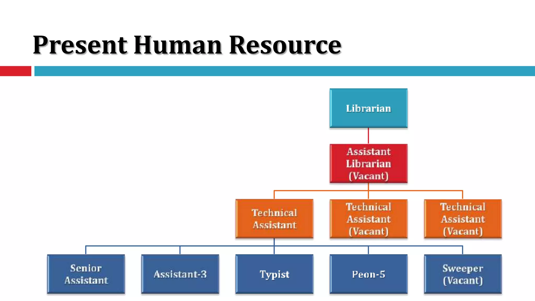 Present Human Resource
 