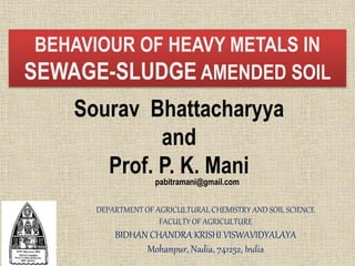 BEHAVIOUR OF HEAVY METALS IN
SEWAGE-SLUDGE AMENDED SOIL
Sourav Bhattacharyya
and
Prof. P. K. Mani
DEPARTMENT OF AGRICULTURAL CHEMISTRY AND SOIL SCIENCE
FACULTY OF AGRICULTURE
BIDHAN CHANDRA KRISHI VISWAVIDYALAYA
Mohanpur, Nadia, 741252, India
pabitramani@gmail.com
 
