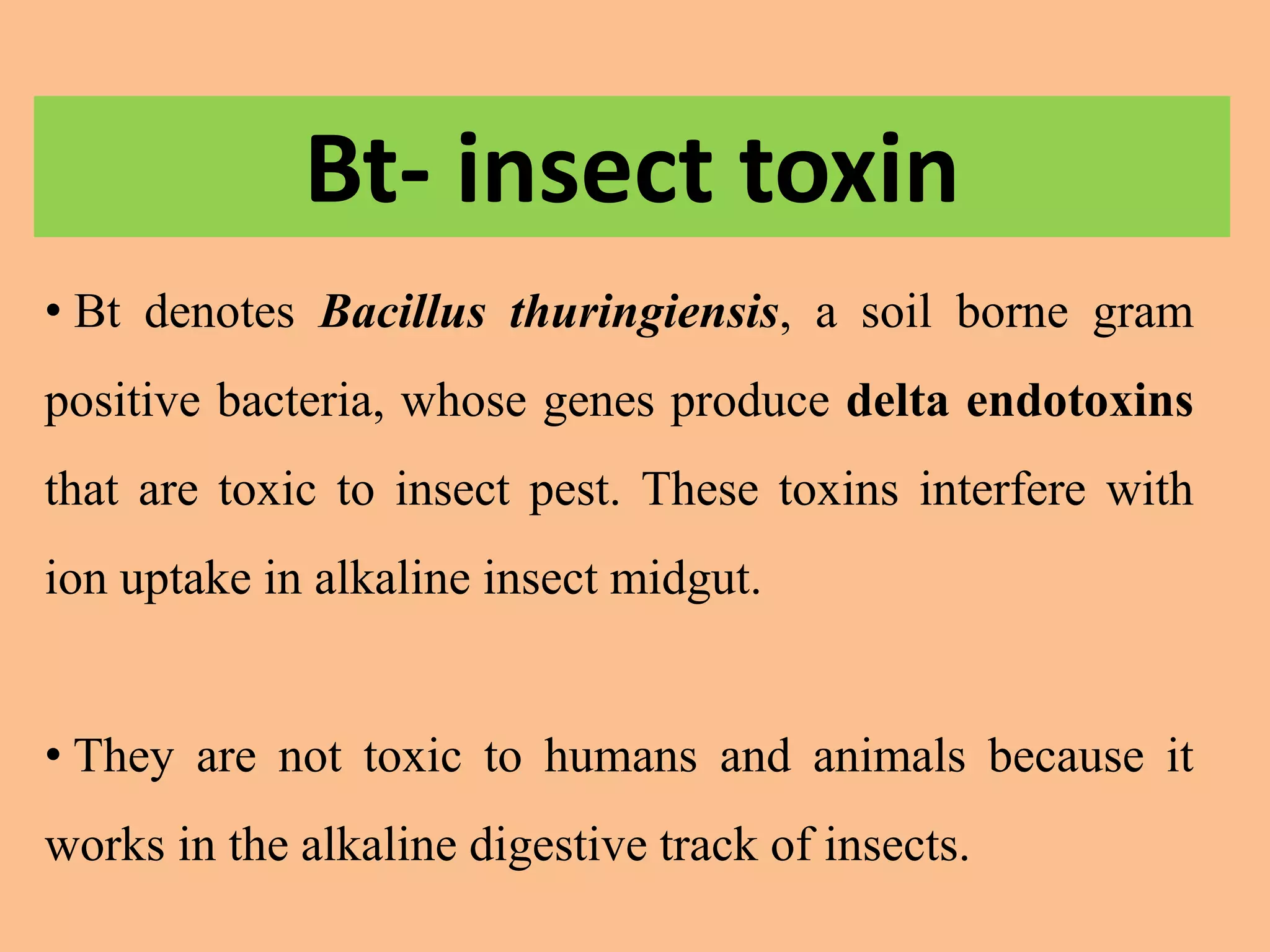 • Bt denotes Bacillus thuringiensis, a soil borne gram
positive bacteria, whose genes produce delta endotoxins
that are toxic to insect pest. These toxins interfere with
ion uptake in alkaline insect midgut.
• They are not toxic to humans and animals because it
works in the alkaline digestive track of insects.
Bt- insect toxin
 