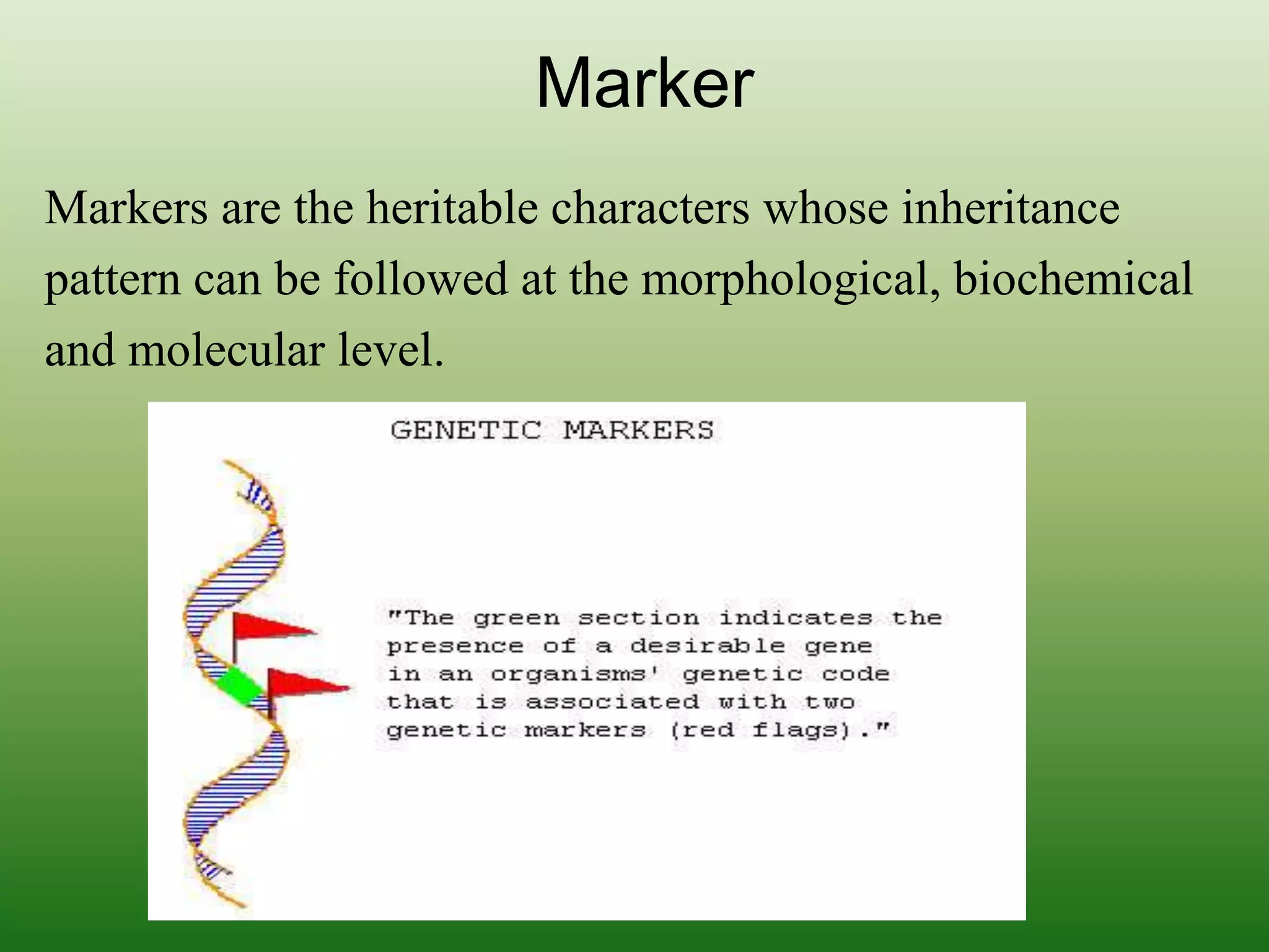 Marker
Markers are the heritable characters whose inheritance
pattern can be followed at the morphological, biochemical
and molecular level.
 